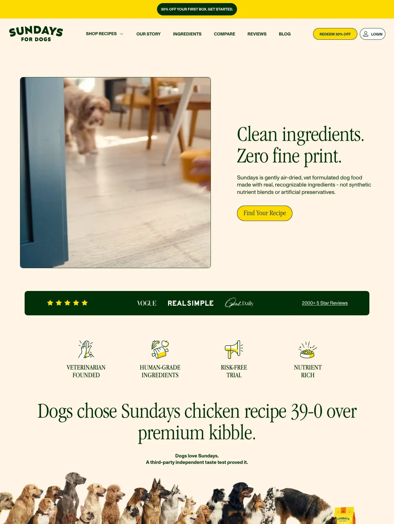 Sundays for Dogs home page